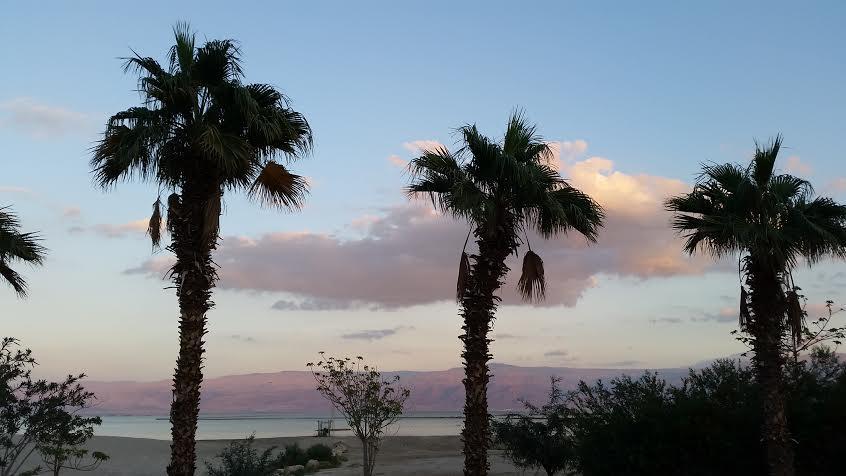 Rose Dead Sea Neve Zohar Hotel Room photo